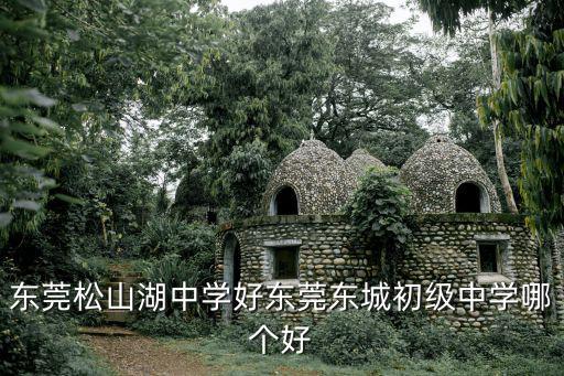 東莞松山湖中學(xué)，東莞中學(xué)松山湖學(xué)校的學(xué)校地址