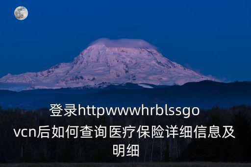 登錄httpwwwhrblssgovcn后如何查詢醫(yī)療保險詳細信息及明細