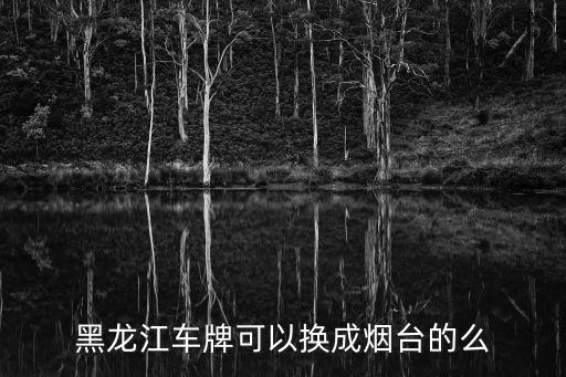 黑龍江車牌可以換成煙臺的么