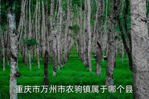 重慶市萬州市農駒鎮屬于哪個縣