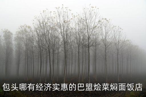包頭哪有經(jīng)濟(jì)實(shí)惠的巴盟燴菜燜面飯店