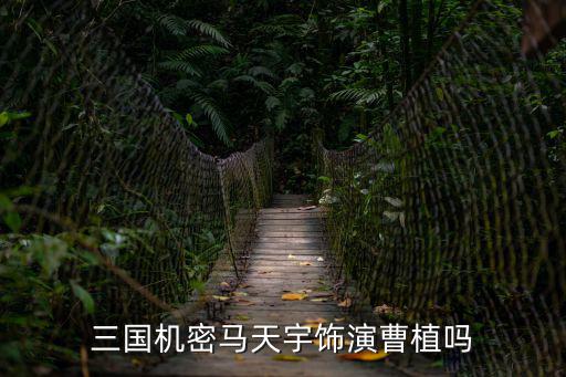 三國機密馬天宇飾演曹植嗎