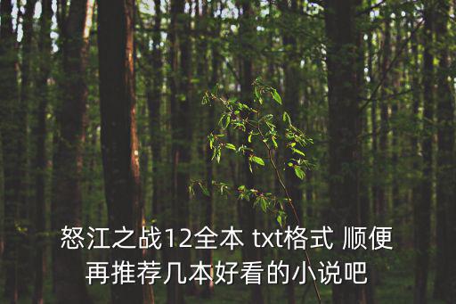 怒江之戰(zhàn)12全本 txt格式 順便再推薦幾本好看的小說吧