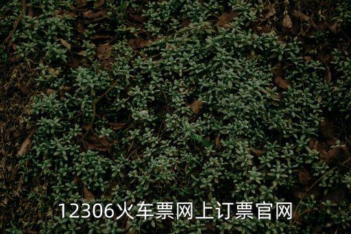 12306火車票網上訂票官網