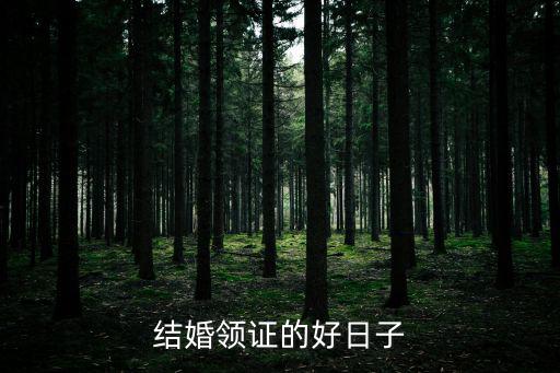 領(lǐng)結(jié)婚證的好日子，結(jié)婚領(lǐng)證的好日子