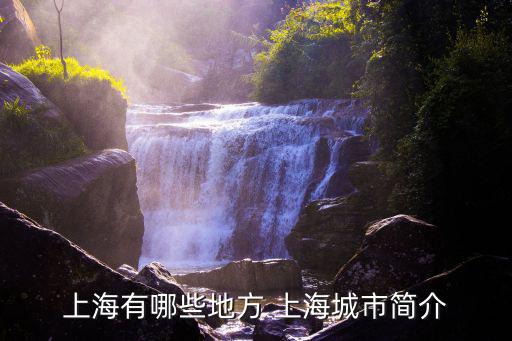 上海有哪些地方 上海城市簡介