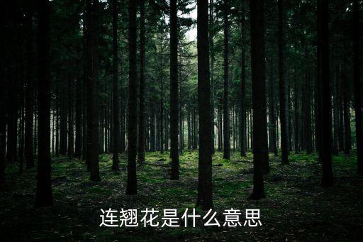 連翹花是什么意思