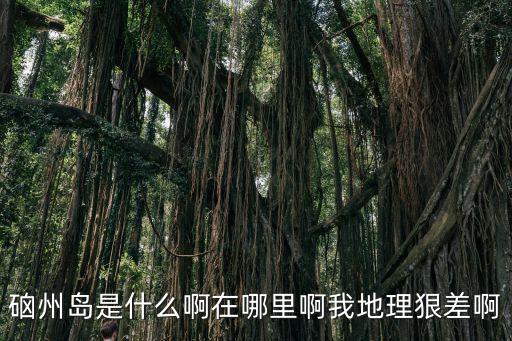 硇州島是什么啊在哪里啊我地理狠差啊