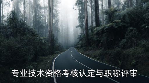 職稱(chēng)評(píng)審網(wǎng)上申報(bào)系統(tǒng)，去年已在網(wǎng)上申報(bào)教師職稱(chēng)今年再次申報(bào)怎么做