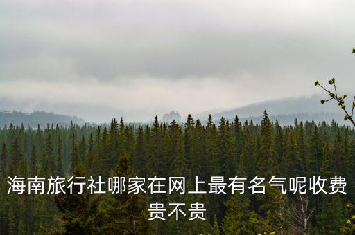海南大旅行社，海南旅行社哪家在網(wǎng)上最有名氣呢收費貴不貴