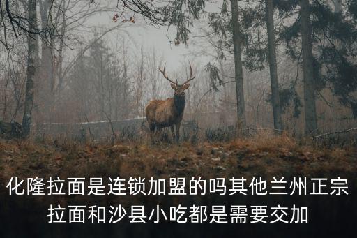 化隆拉面是連鎖加盟的嗎其他蘭州正宗拉面和沙縣小吃都是需要交加