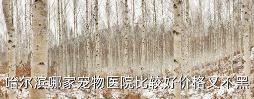 哈爾濱哪家寵物醫(yī)院比較好價格又不黑