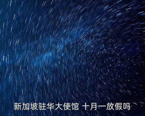 新加坡駐華使館，新加坡大使館網站
