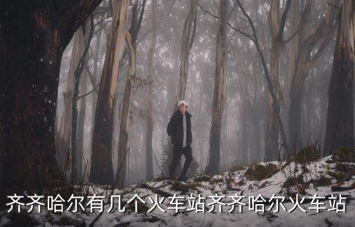 齊齊哈爾火車站，齊齊哈爾有幾個(gè)火車站齊齊哈爾火車站