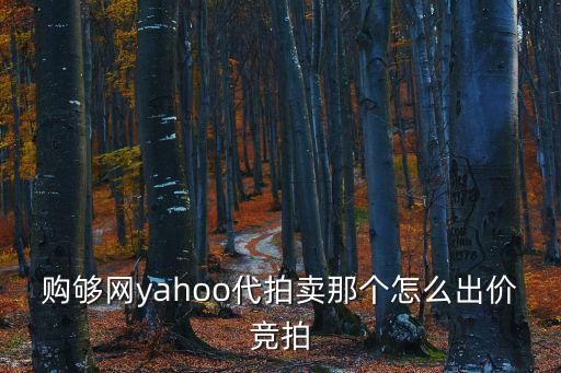 購夠網yahoo代拍賣那個怎么出價競拍