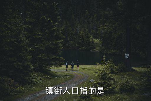 鎮(zhèn)街人口指的是