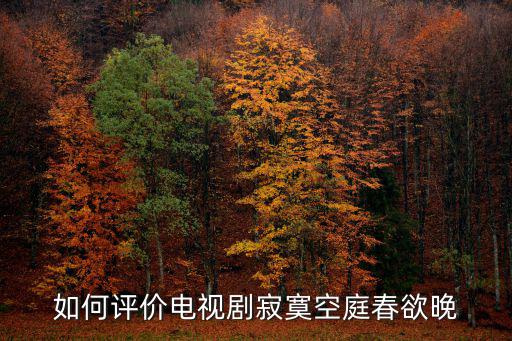 如何評價電視劇寂寞空庭春欲晚