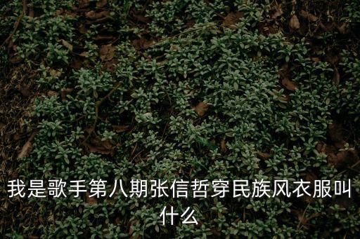 我是歌手第八期張信哲穿民族風衣服叫什么