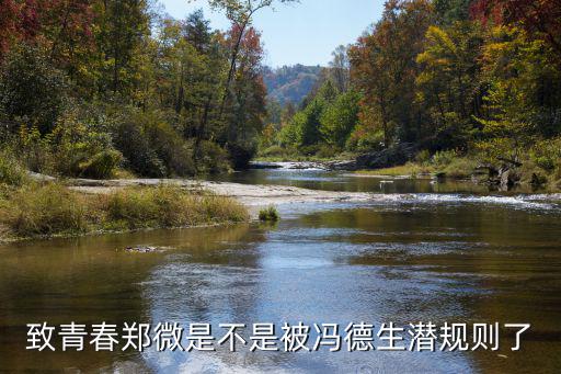致青春鄭微是不是被馮德生潛規(guī)則了