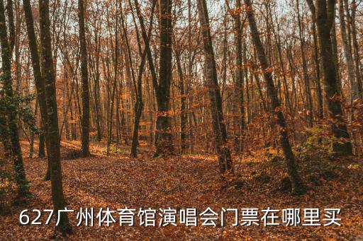 627廣州體育館演唱會(huì)門票在哪里買