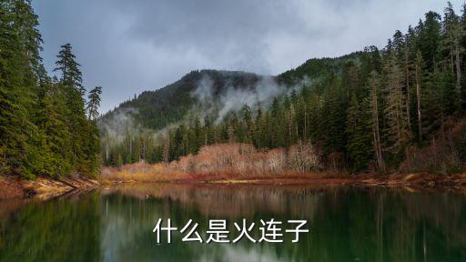 什么是火連子