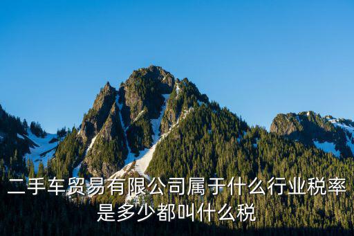 二手車貿易有限公司屬于什么行業稅率是多少都叫什么稅