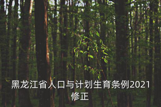 黑龍江省人口與計(jì)劃生育條例，黑龍江產(chǎn)假條例