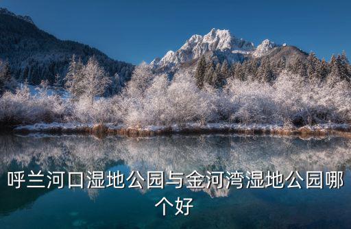 呼蘭河口濕地公園與金河灣濕地公園哪個(gè)好