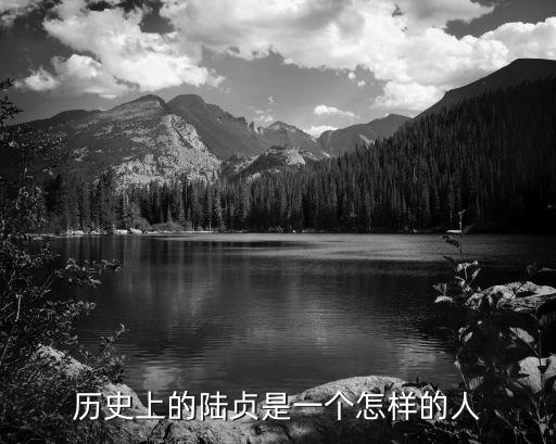 歷史上的陸貞是一個怎樣的人