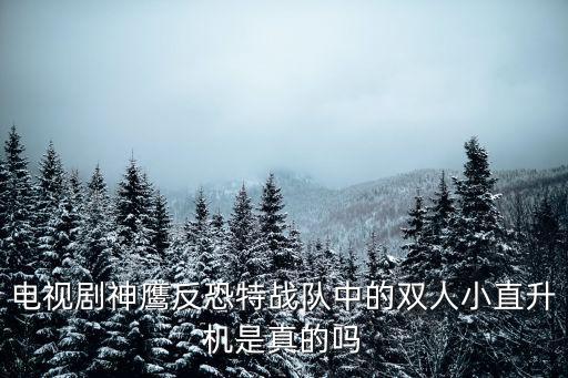 電視劇神鷹反恐特戰隊中的雙人小直升機是真的嗎