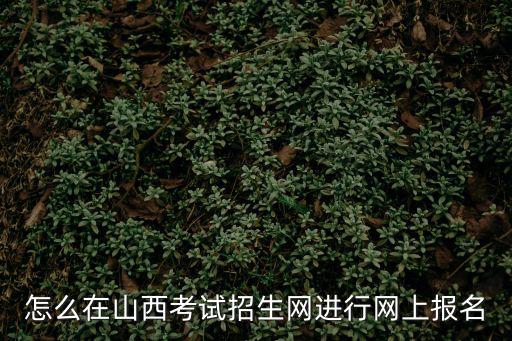 怎么在山西考試招生網進行網上報名