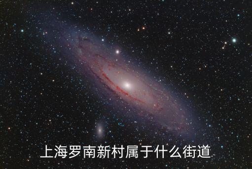 上海羅南新村屬于什么街道