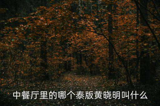 谷語中餐廳，中餐廳里的哪個泰版黃曉明叫什么