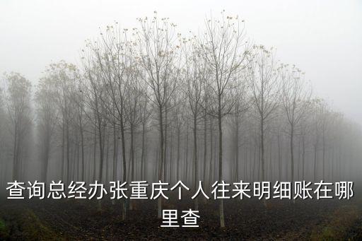 查詢總經(jīng)辦張重慶個人往來明細(xì)賬在哪里查