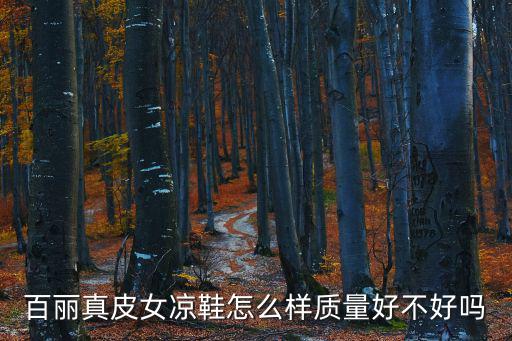 百麗真皮女涼鞋怎么樣質量好不好嗎