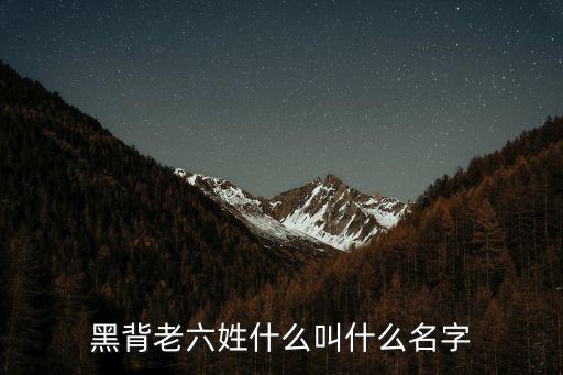 黑背老六姓什么叫什么名字