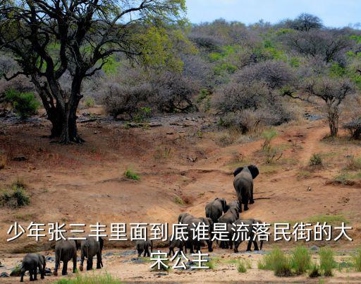 少年張三豐里面到底誰是流落民街的大宋公主
