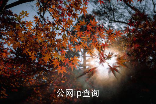 公網ip查詢