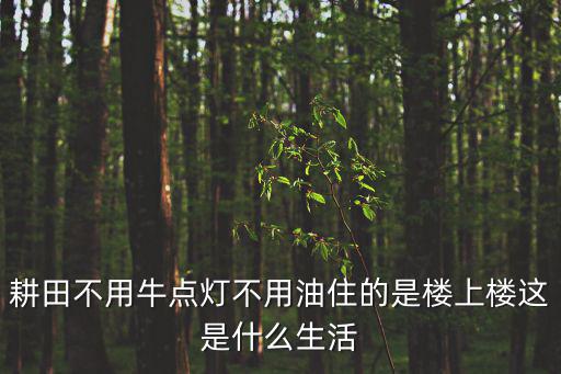 莞香樓，耕田不用牛點(diǎn)燈不用油住的是樓上樓這是什么生活