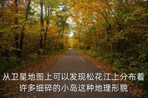 從衛星地圖上可以發現松花江上分布著許多細碎的小島這種地理形貌