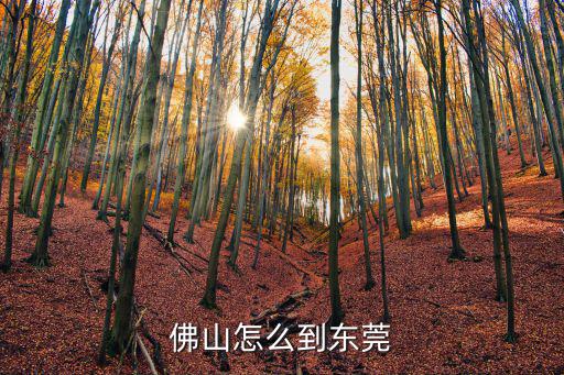佛山怎么到東莞