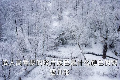 成人高考要的照片底色是什么顏色的需要幾張