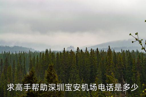 求高手幫助深圳寶安機場電話是多少