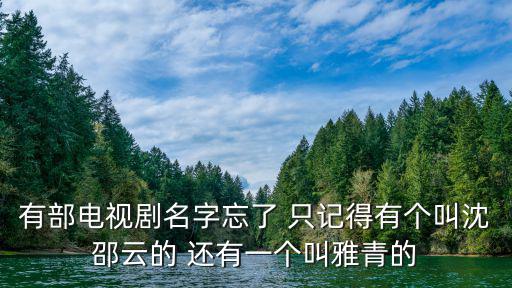 有部電視劇名字忘了 只記得有個叫沈邵云的 還有一個叫雅青的