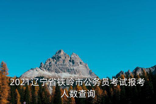 2021遼寧省鐵嶺市公務員考試報考人數查詢