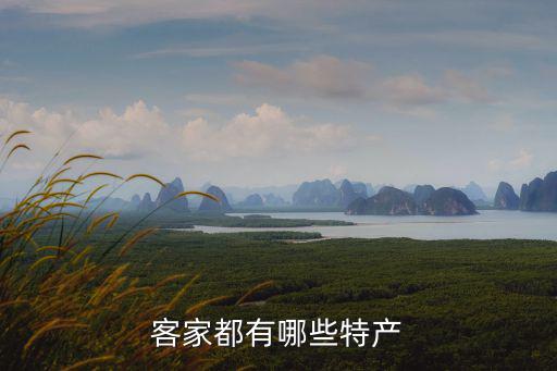 客家特產(chǎn)，客家都有哪些特產(chǎn)
