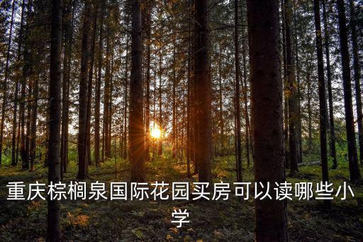 重慶棕櫚泉國際花園買房可以讀哪些小學