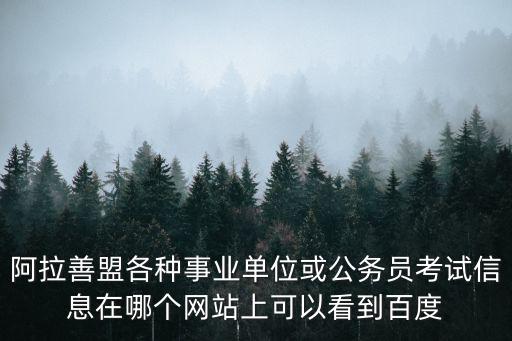 阿拉善盟各種事業單位或公務員考試信息在哪個網站上可以看到百度