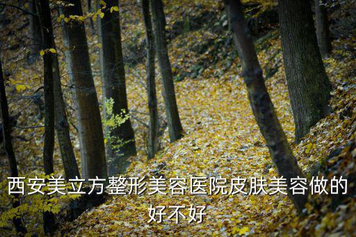 西安美立方整形美容醫(yī)院皮膚美容做的好不好