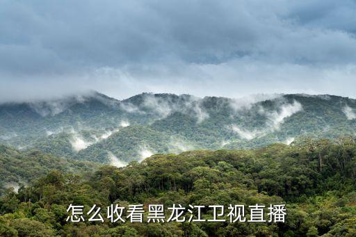 怎么收看黑龍江衛(wèi)視直播